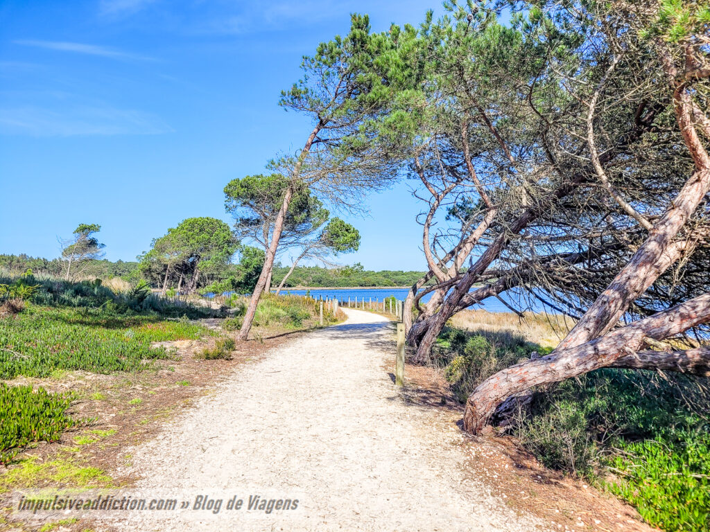 Ecovia da Lagoa de Óbidos