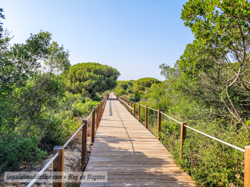 Passadiços da Costa da Caparica | Mata dos Medos