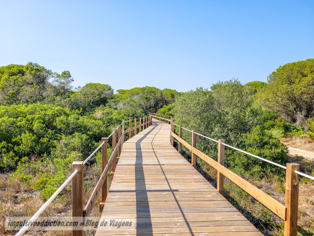 Passadiços da Costa da Caparica | Mata dos Medos