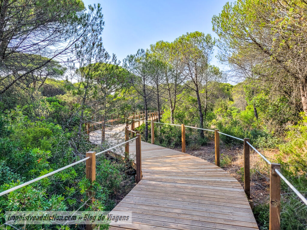 Passadiços da Costa da Caparica | Mata dos Medos