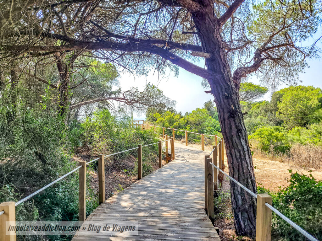 Passadiços da Costa da Caparica | Mata dos Medos