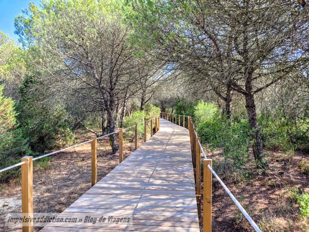 Passadiços da Costa da Caparica | Mata dos Medos