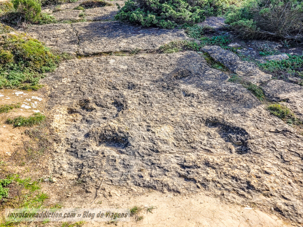 Pegadas de Dinossauros de Salir do Porto
