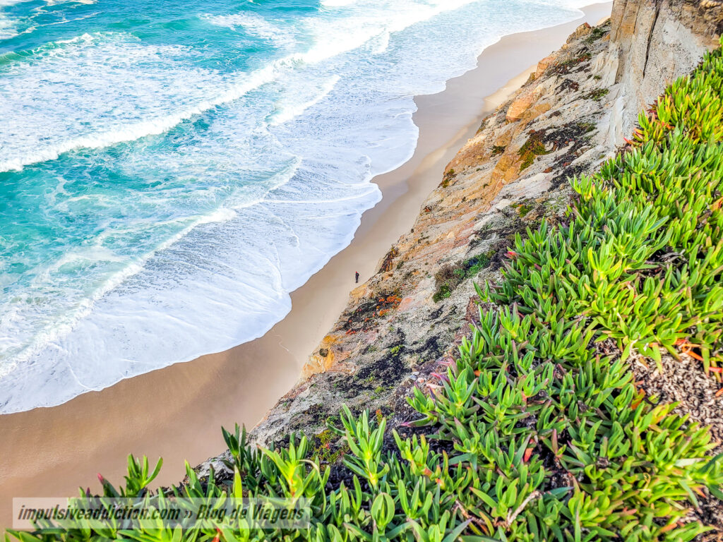 Praia de Covões