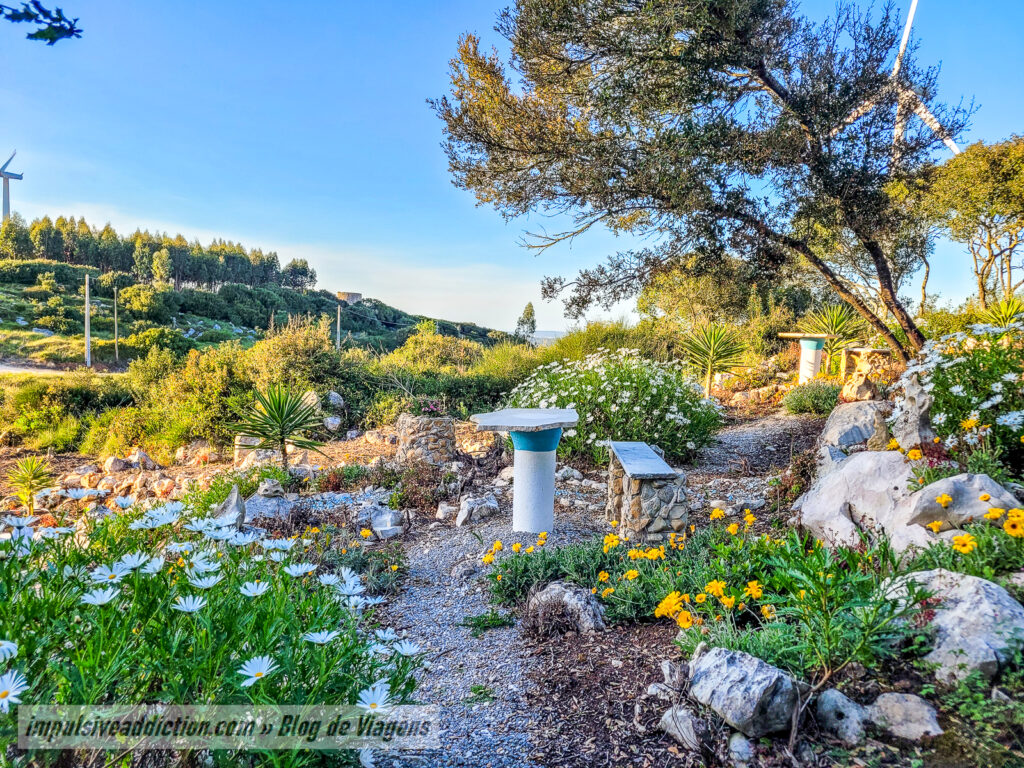O Jardim da Celeste