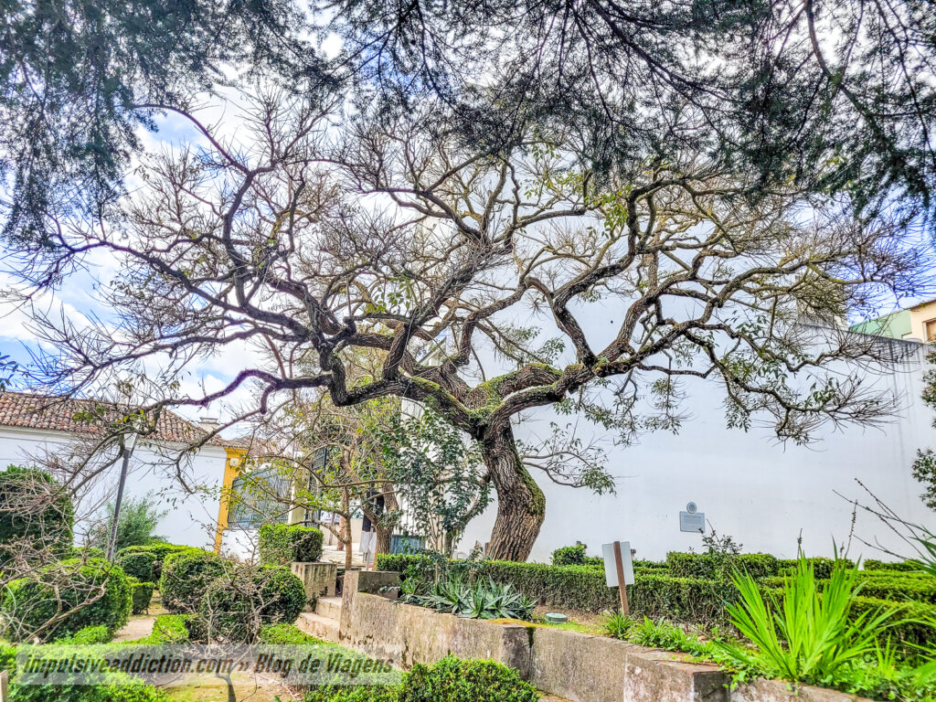 Jardim da Época de Arruda dos Vinhos