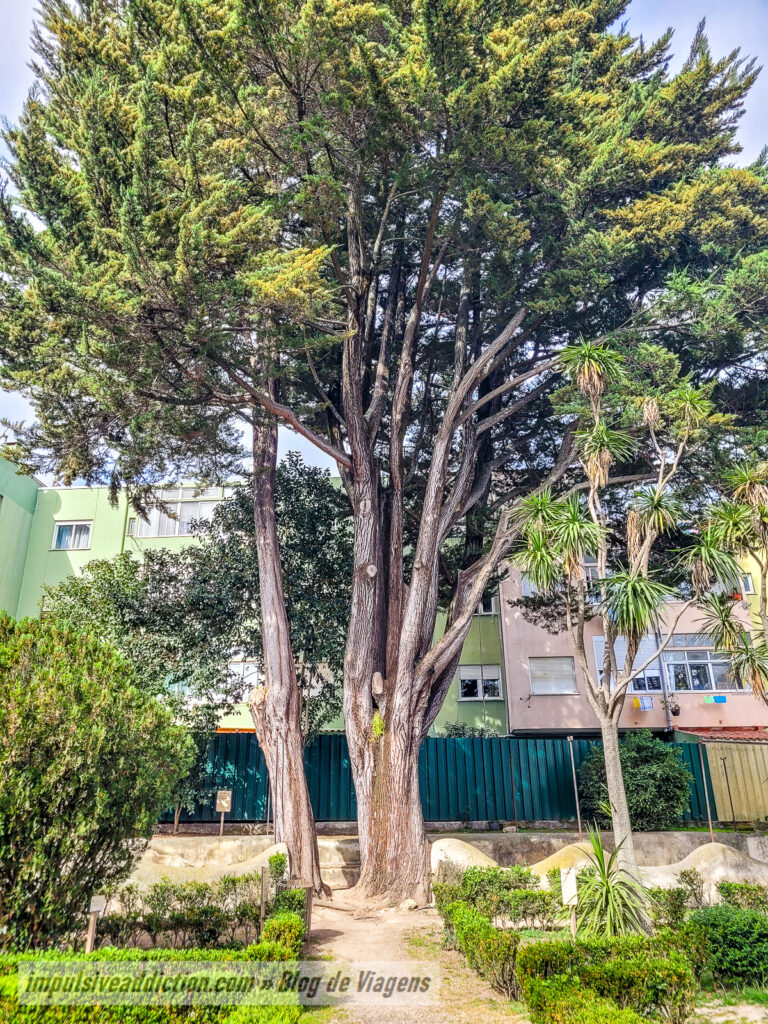 Jardim da Época de Arruda dos Vinhos