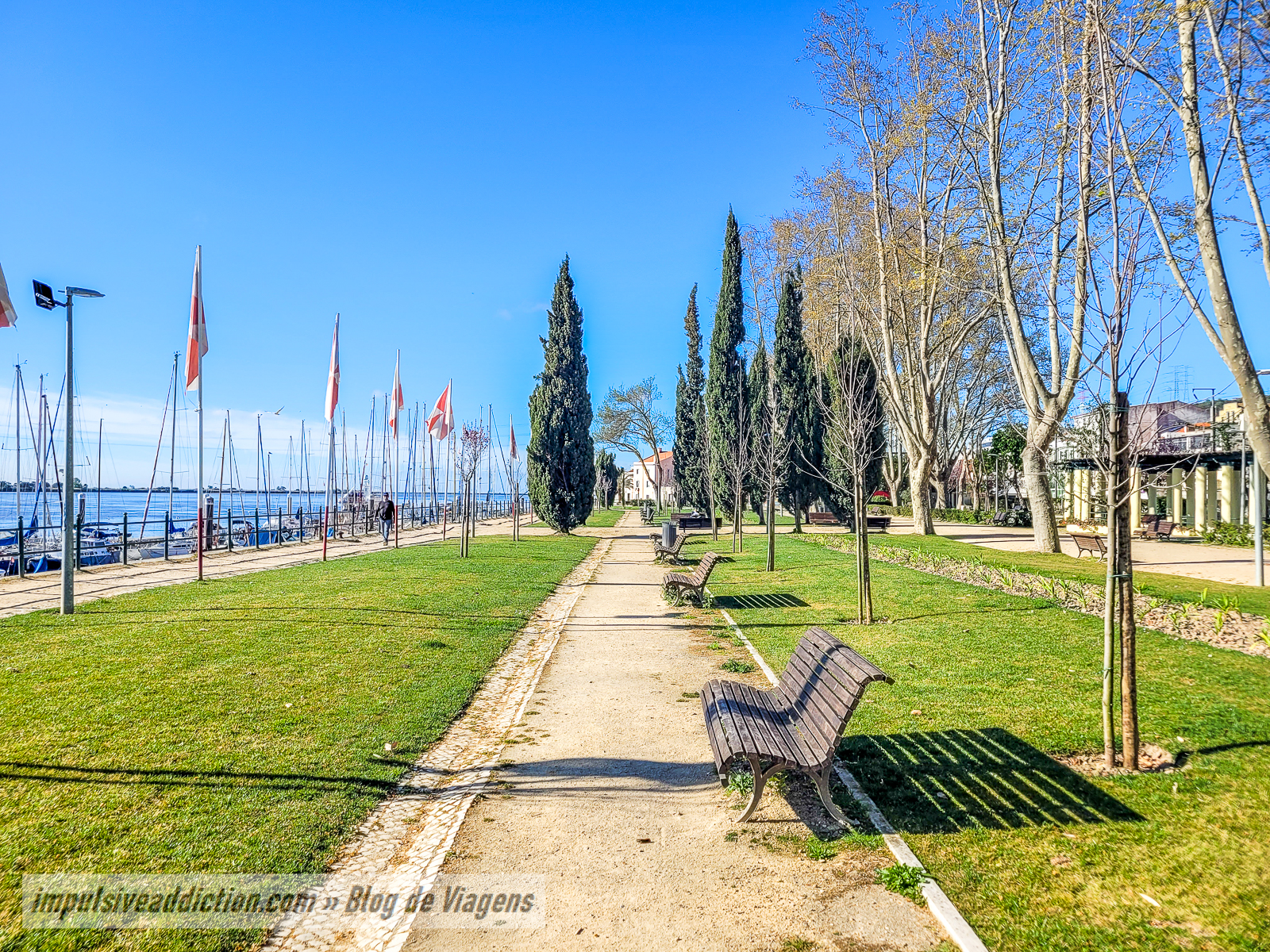 Jardim Municipal Constantino Palha