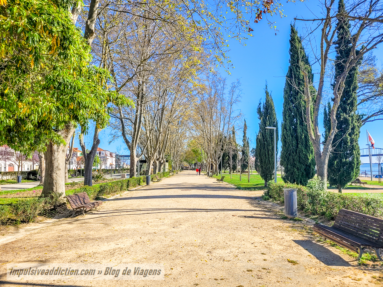 Jardim Municipal Constantino Palha