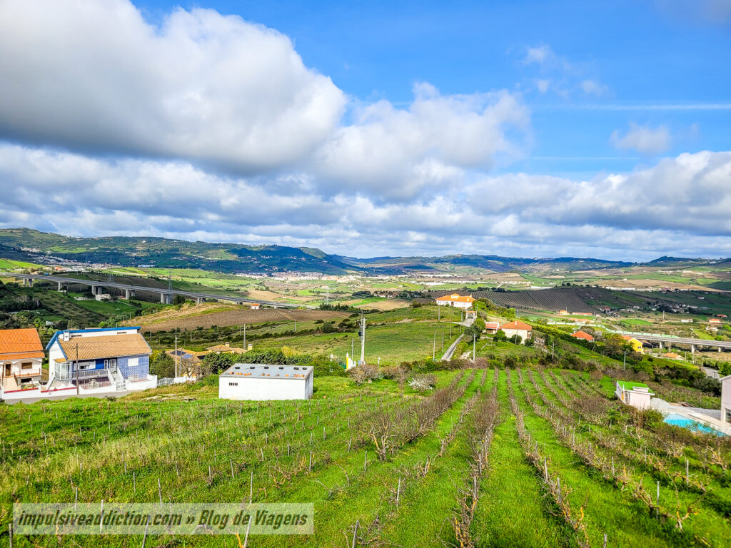 Miradouro de Cardosas