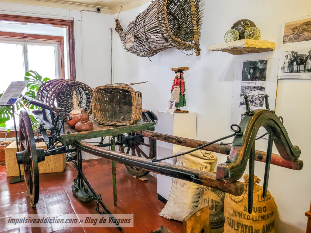Museu da Lourinhã