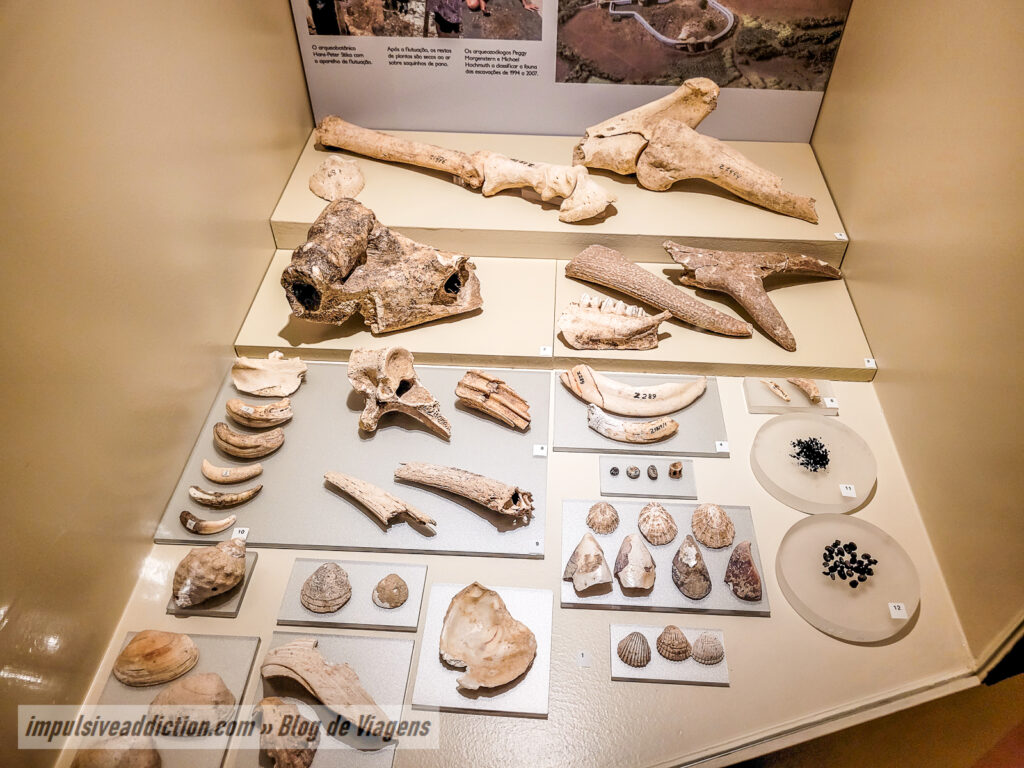 Museu Municipal Leonel Trindade