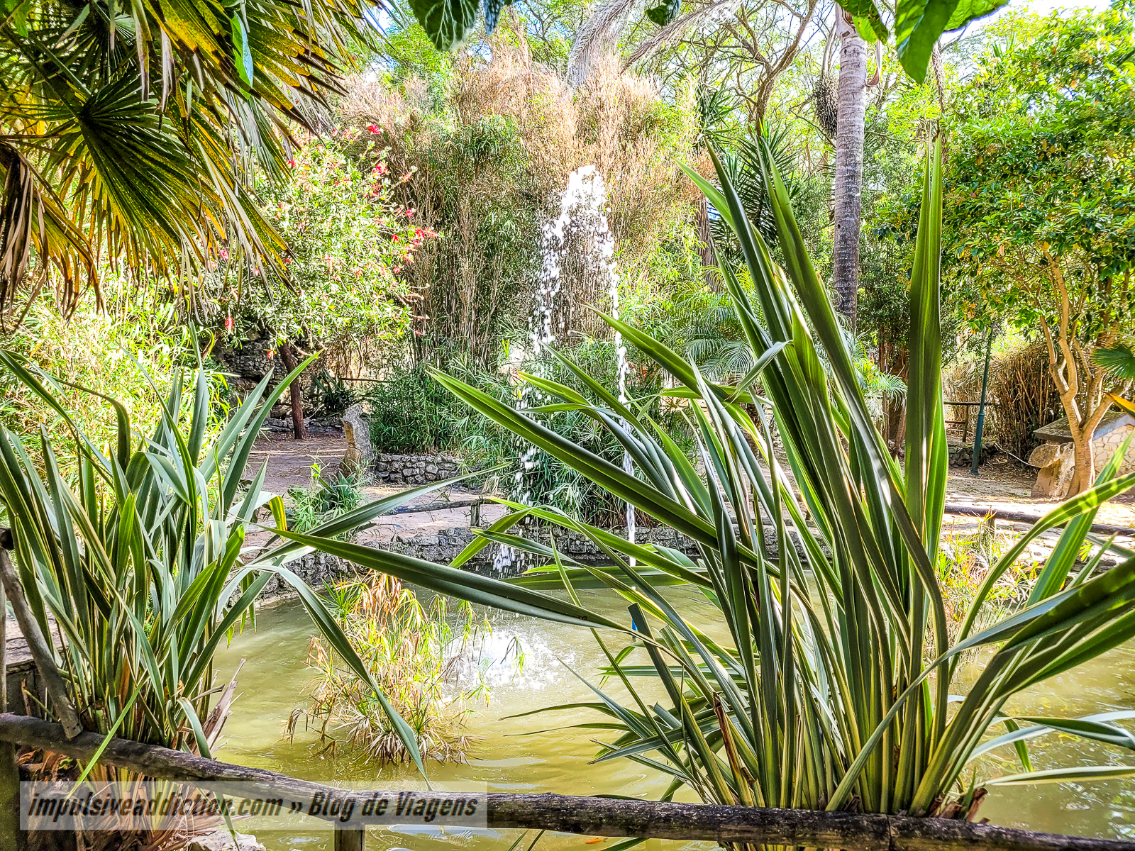 Parque da Fonte Lima