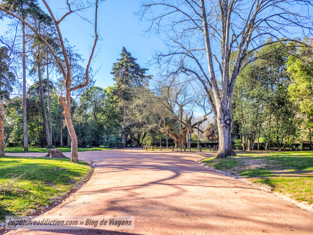 Parque Dom Carlos I