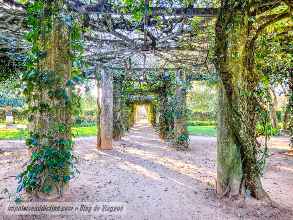 Parque Dom Carlos I