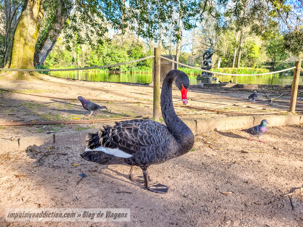 Parque Dom Carlos I