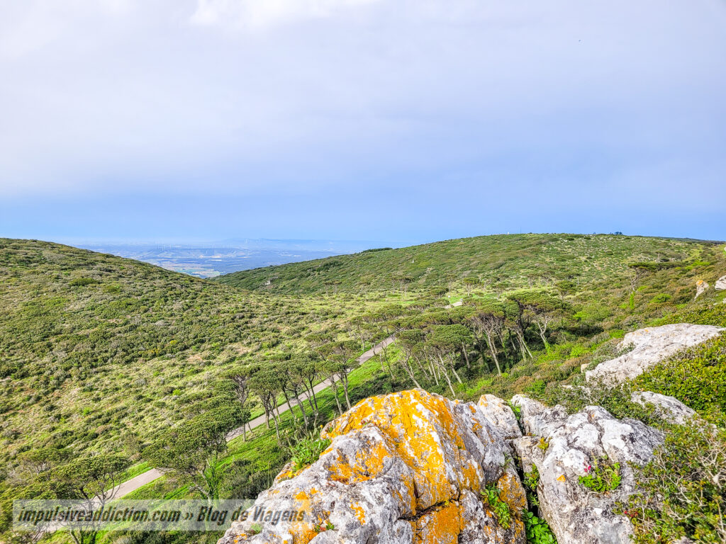 Miradouro das Penhas do Relvio