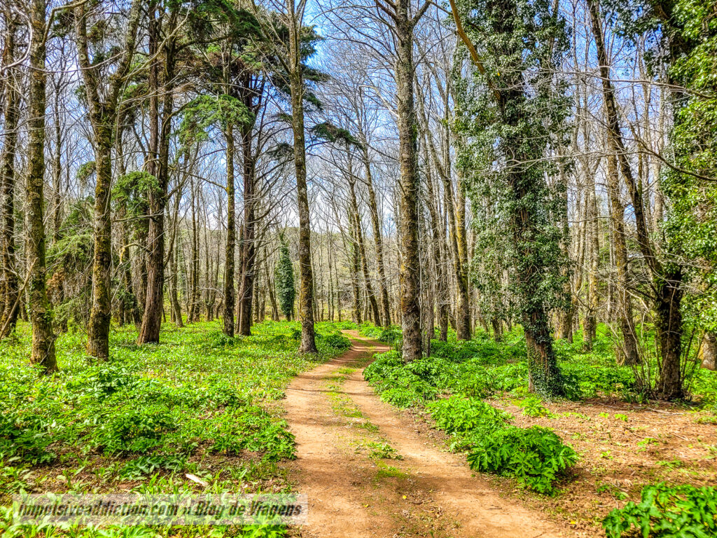 Percurso da Biodiversidade de Montejunto