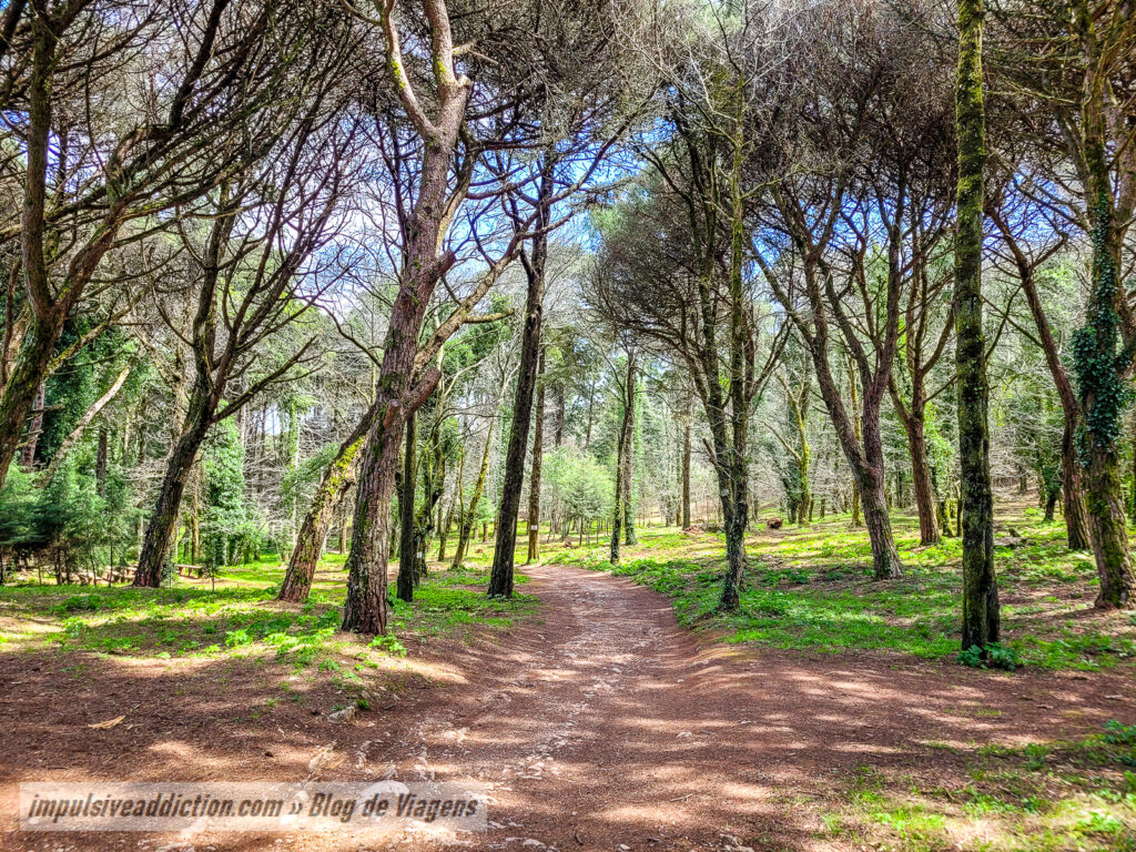 Percurso da Biodiversidade de Montejunto