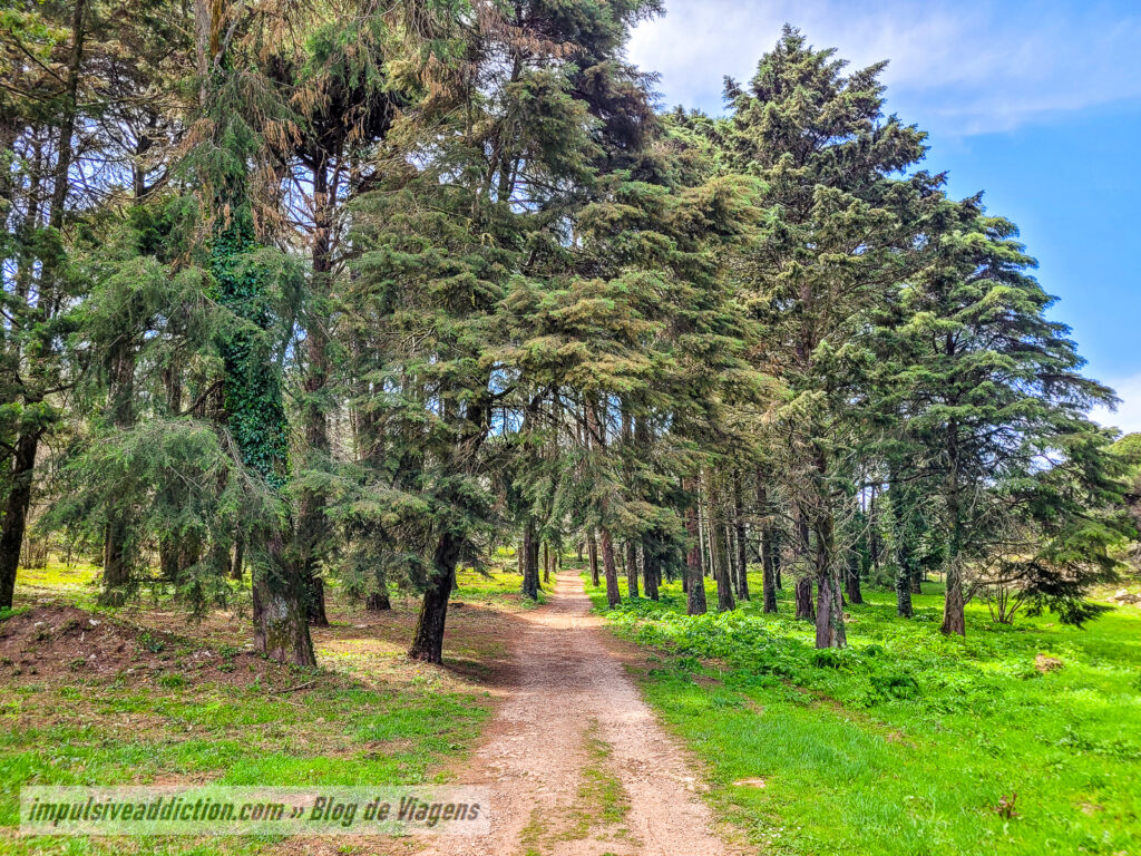 Percurso da Biodiversidade de Montejunto