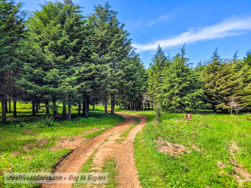 Percurso da Biodiversidade de Montejunto