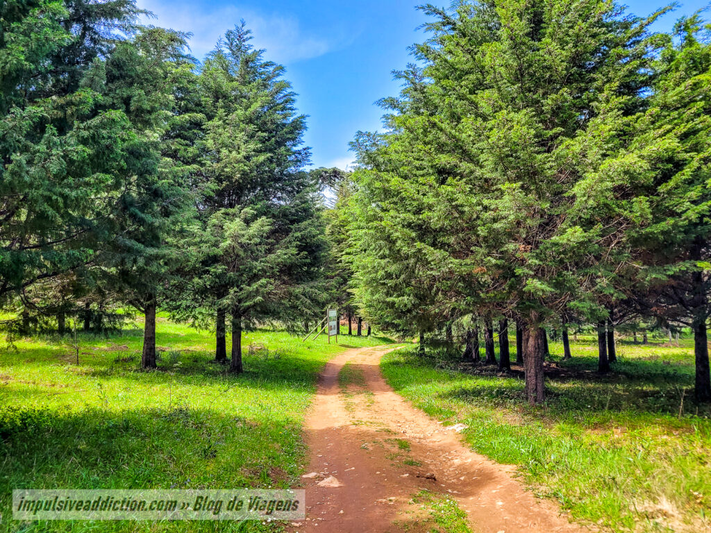 Percurso da Biodiversidade de Montejunto