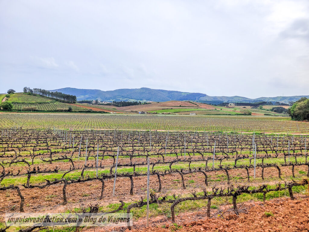 Quinta do Gradil