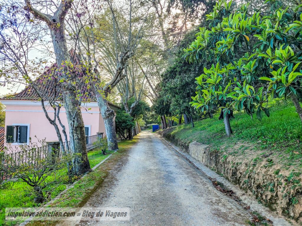 Quinta Municipal do Sobralinho