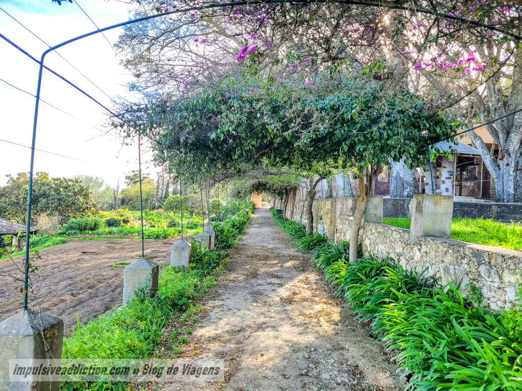Quinta Municipal do Sobralinho