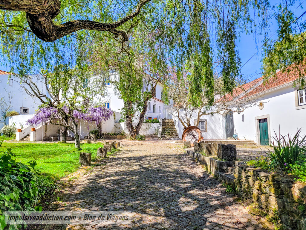 Ribeira de Maria Afonso