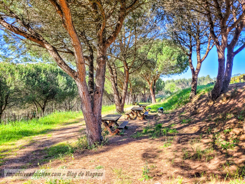 Parque de Merendas da Serra do Socorro