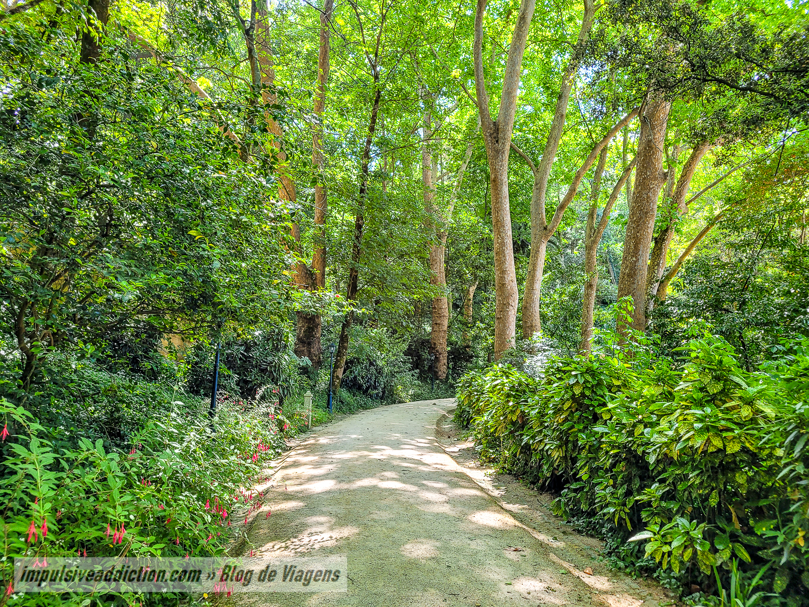 Palácio Biester | Melhores parques e palácios de Sintra