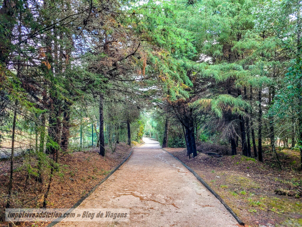 Bosque dos Gaios