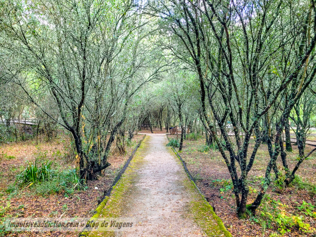 Bosque dos Gaios