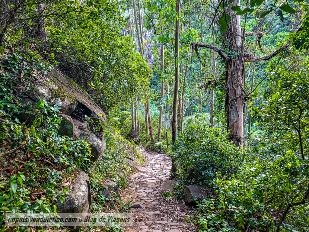 Trilho para a Cascata de Mourão