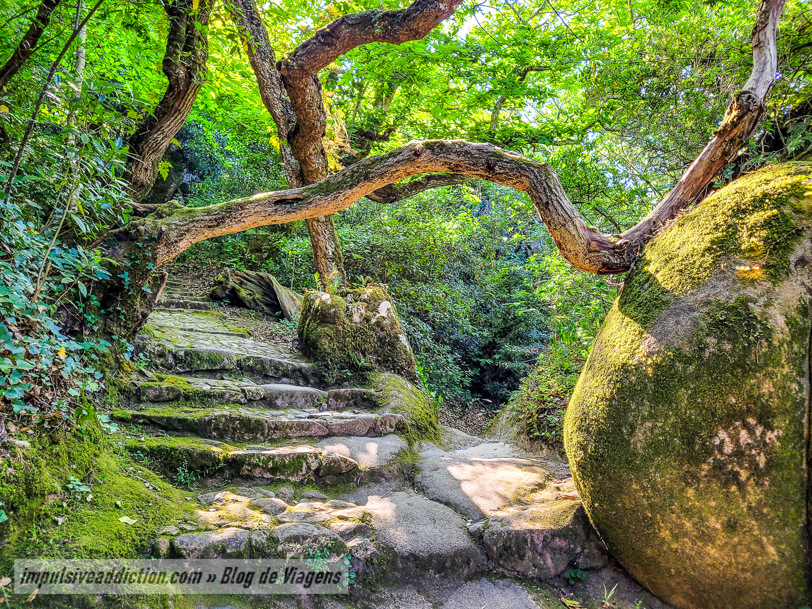 Convento dos Capuchos | Melhores parques de Sintra