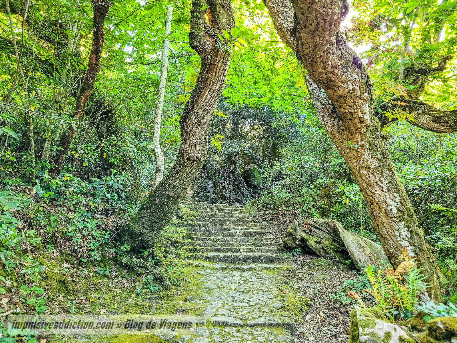 Convento dos Capuchos | Melhores parques de Sintra