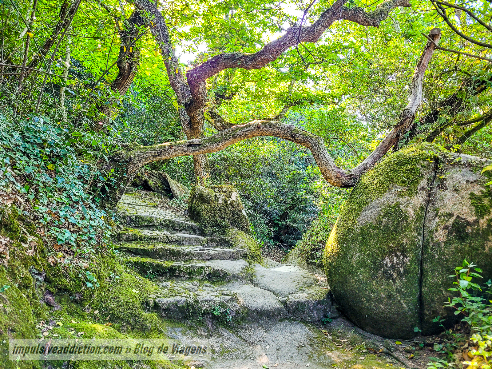 Convento dos Capuchos | Melhores parques de Sintra