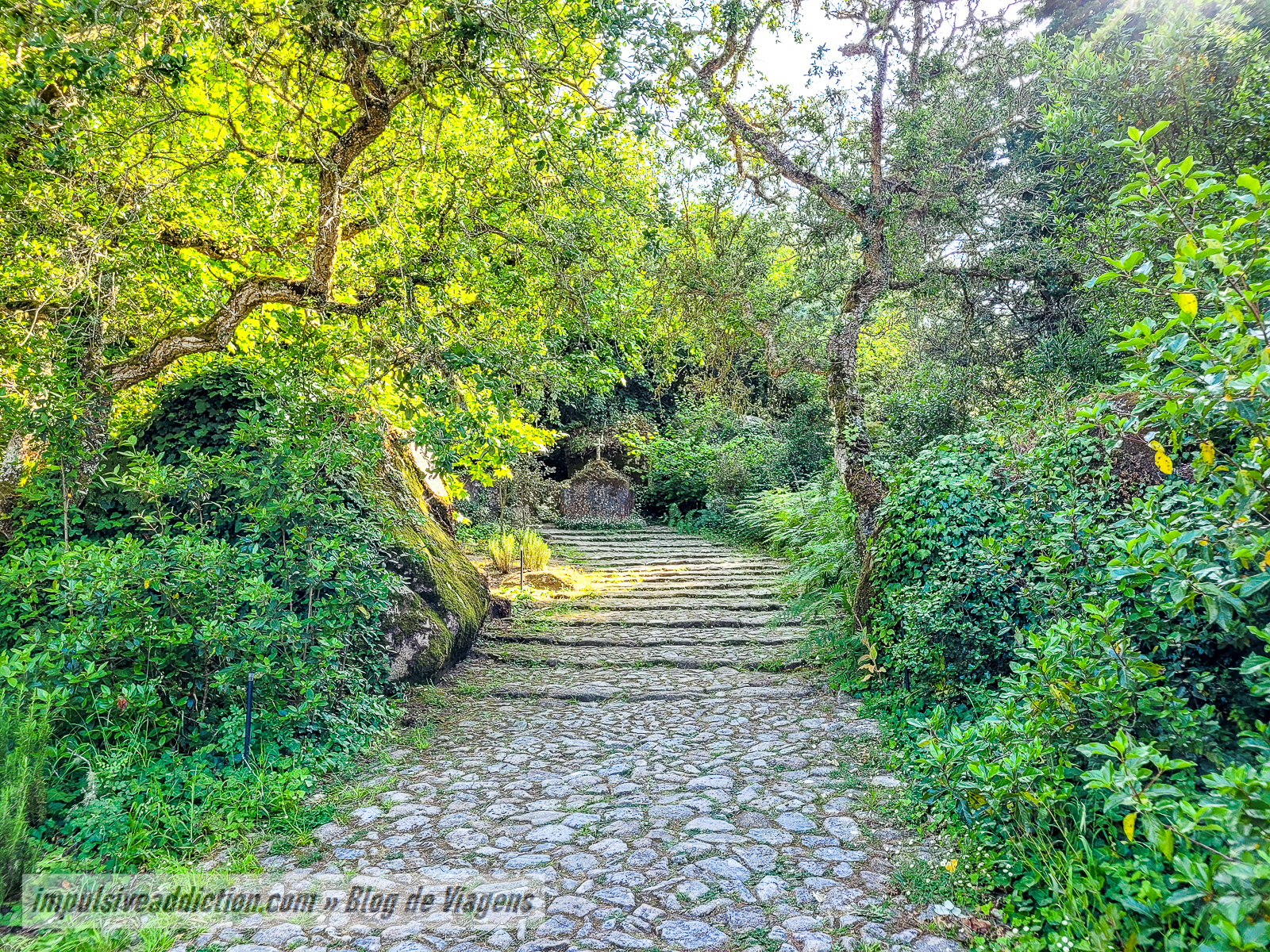 Convento dos Capuchos | Melhores parques de Sintra