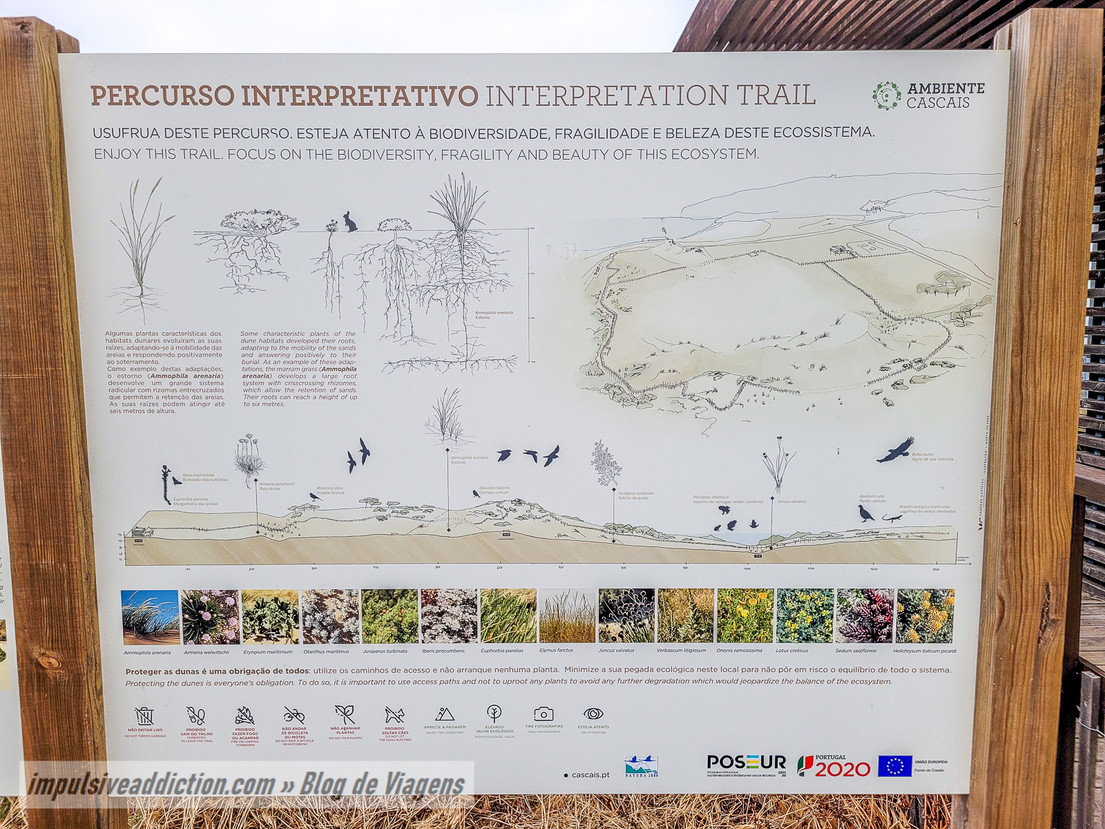 Percurso Interpretativo da Duna de Cresmina
