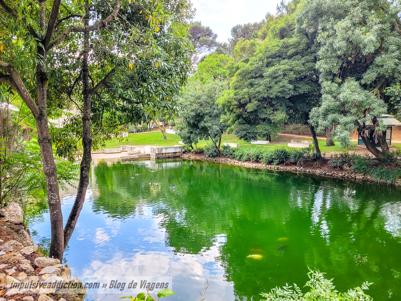 Jardim da Quinta da Alagoa