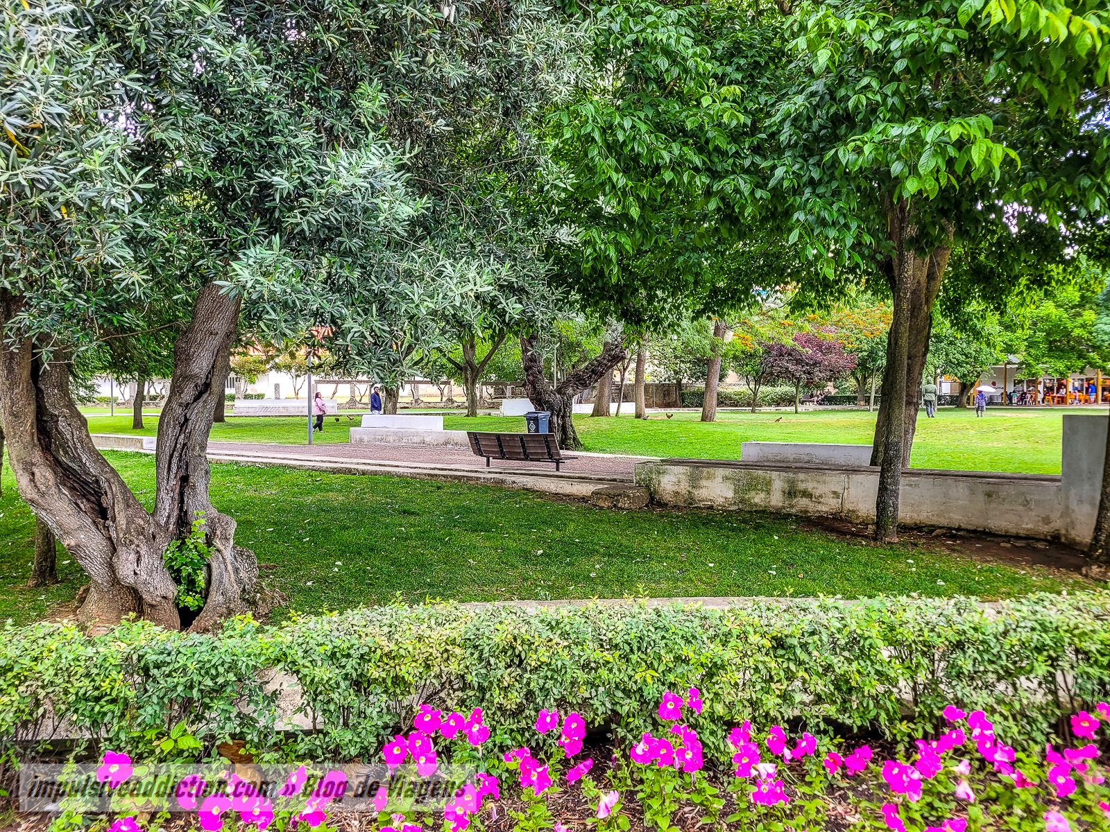 Jardim da Quinta da Alagoa