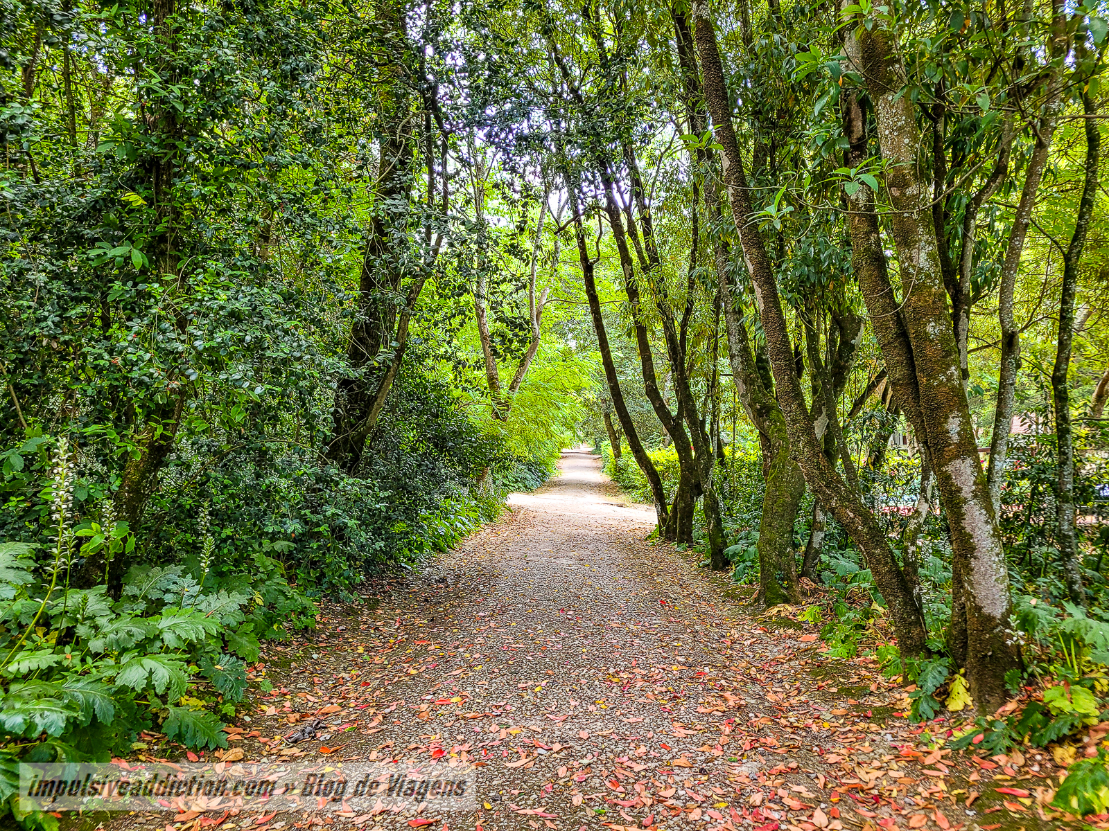 Jardim do Cerco de Mafra