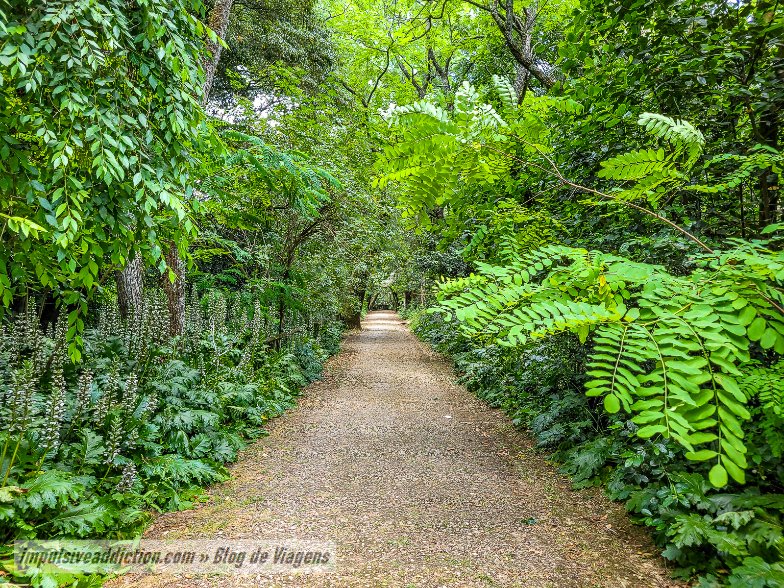 Jardim do Cerco de Mafra