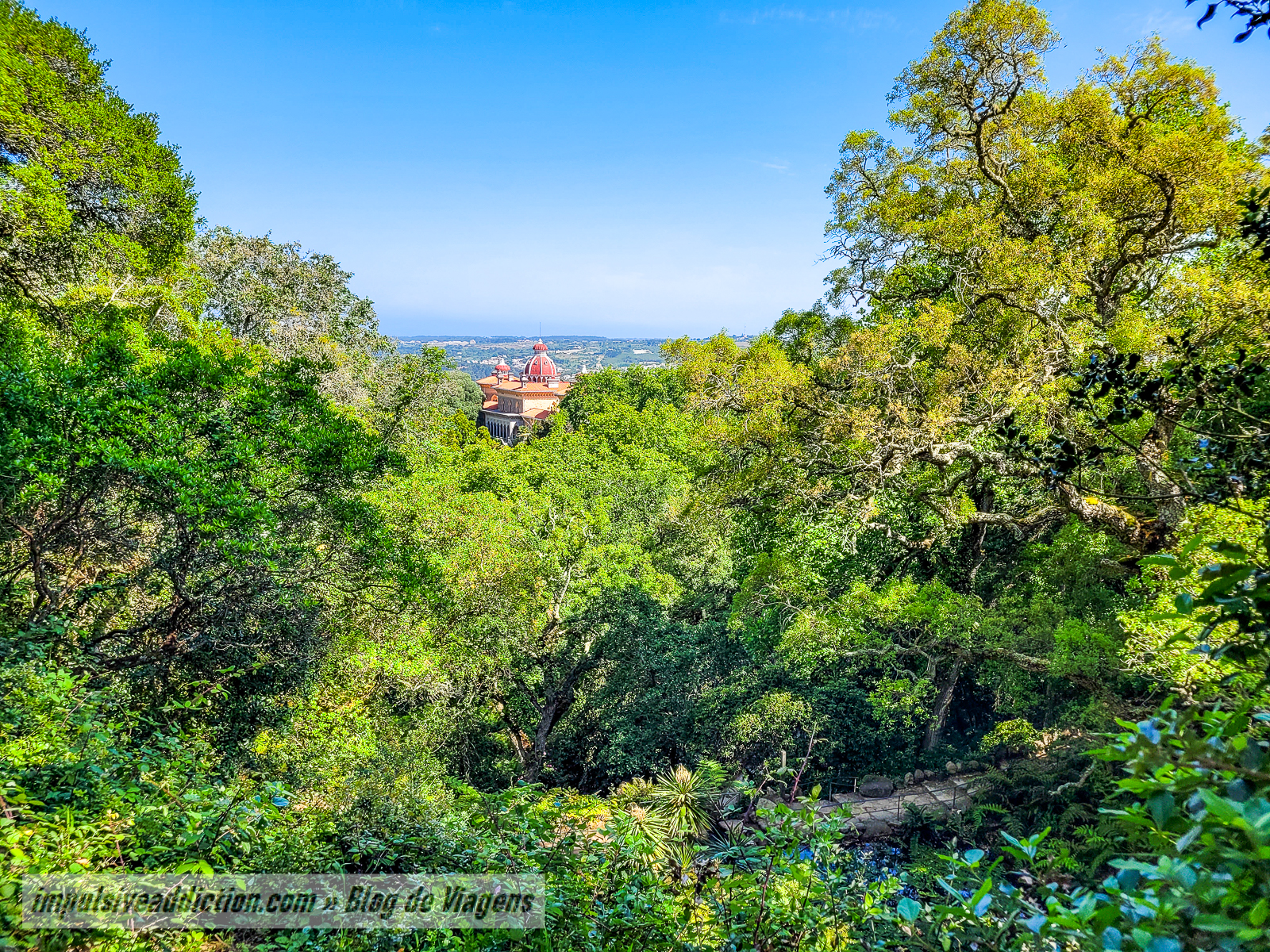 Parque do Palácio de Monserrate | Melhores parques e palácios de Sintra