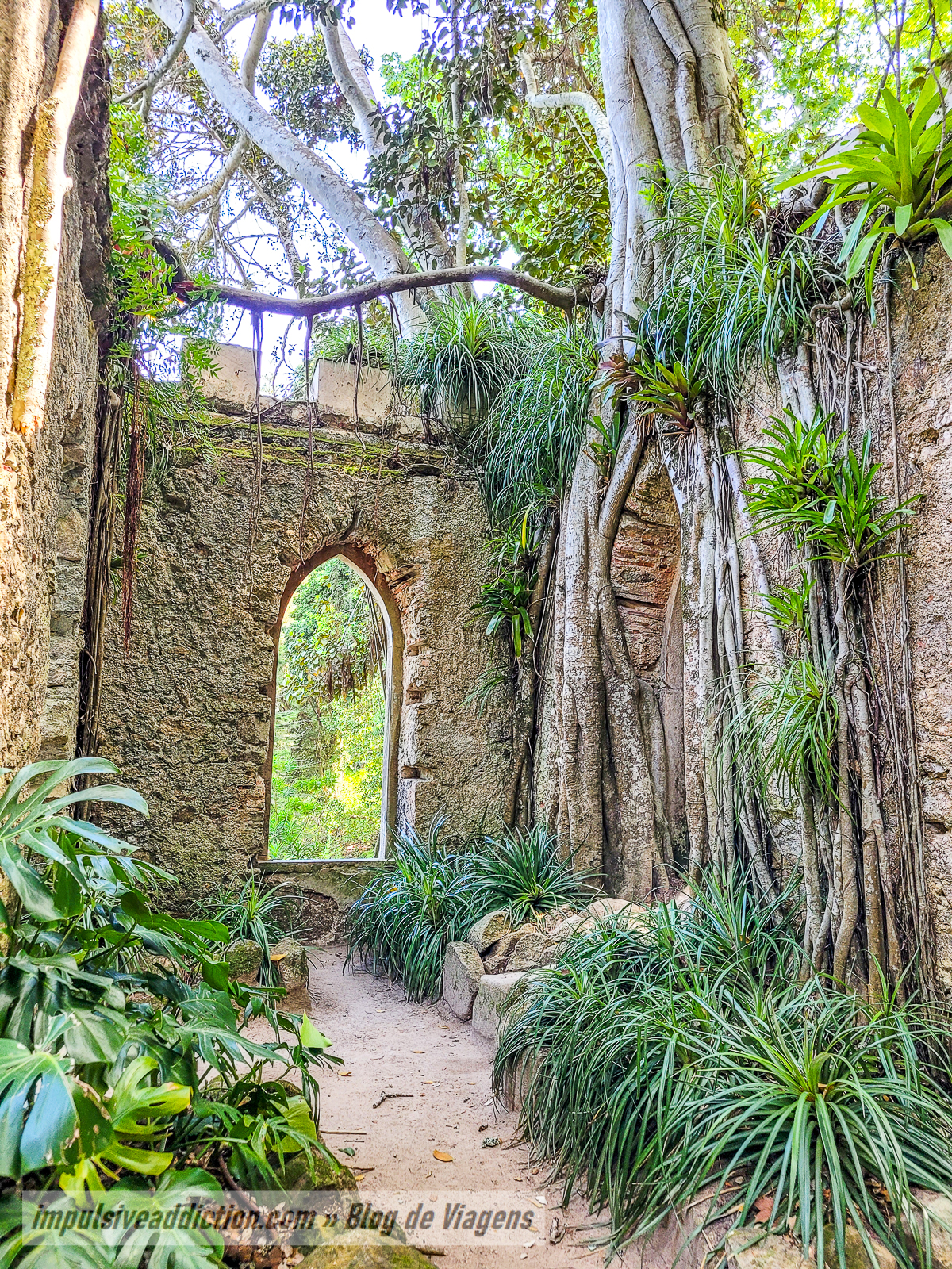 Parque do Palácio de Monserrate | Melhores parques e palácios de Sintra