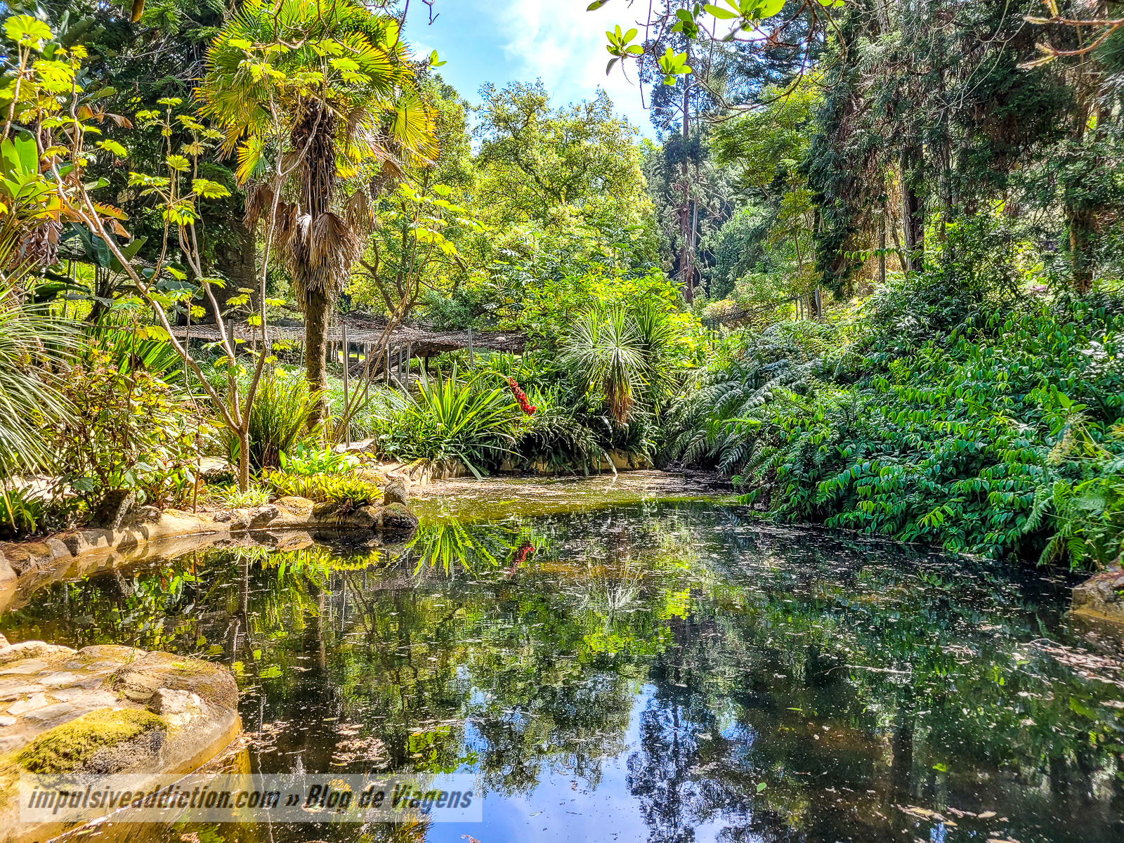 Parque do Palácio de Monserrate | Melhores parques e palácios de Sintra