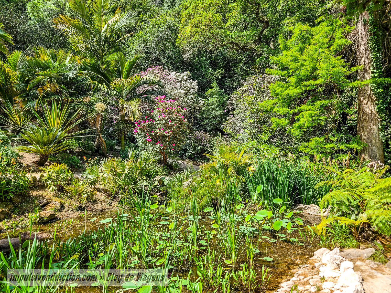 Parque do Palácio de Monserrate | Melhores parques e palácios de Sintra