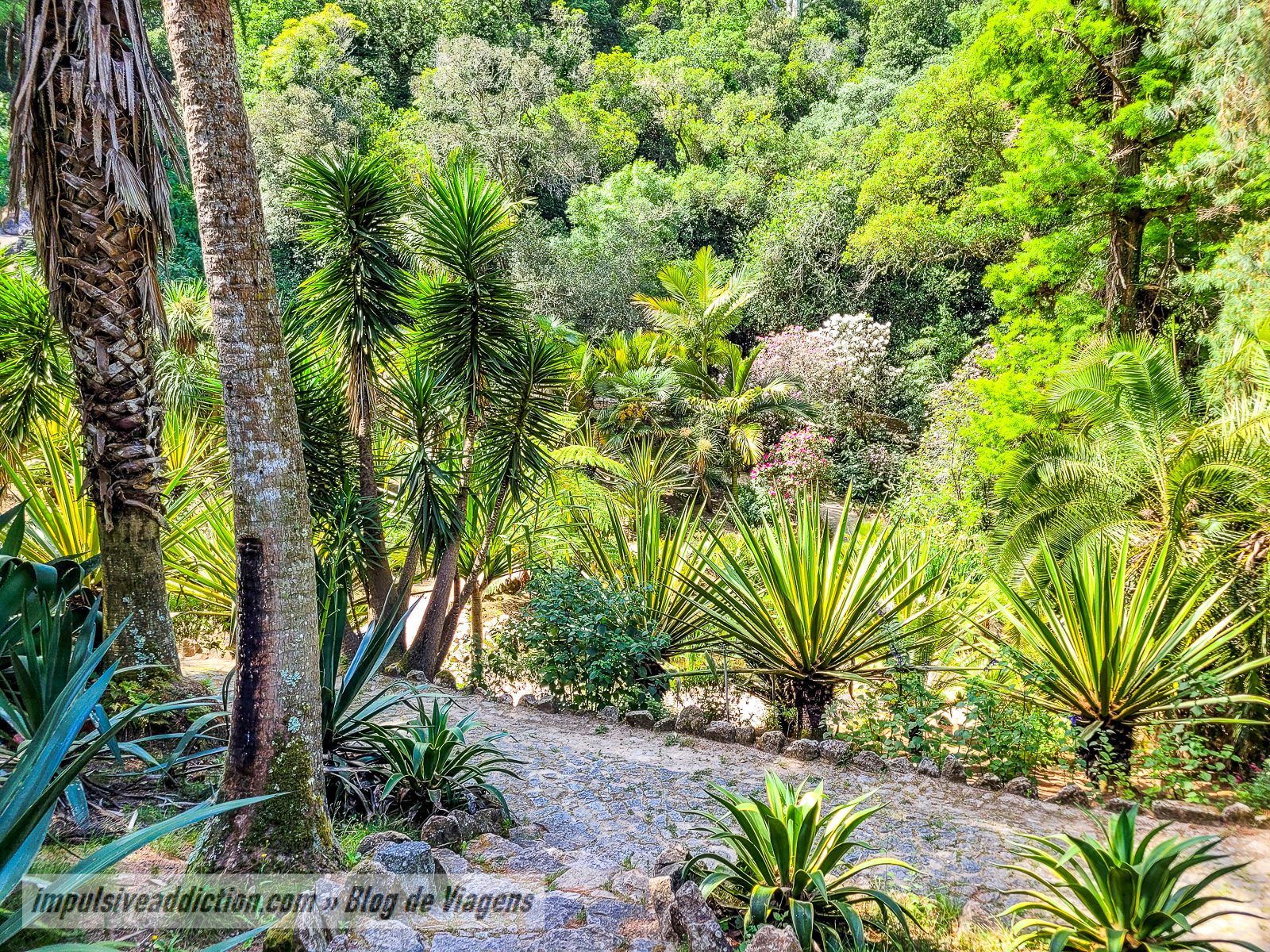Parque do Palácio de Monserrate | Melhores parques e palácios de Sintra
