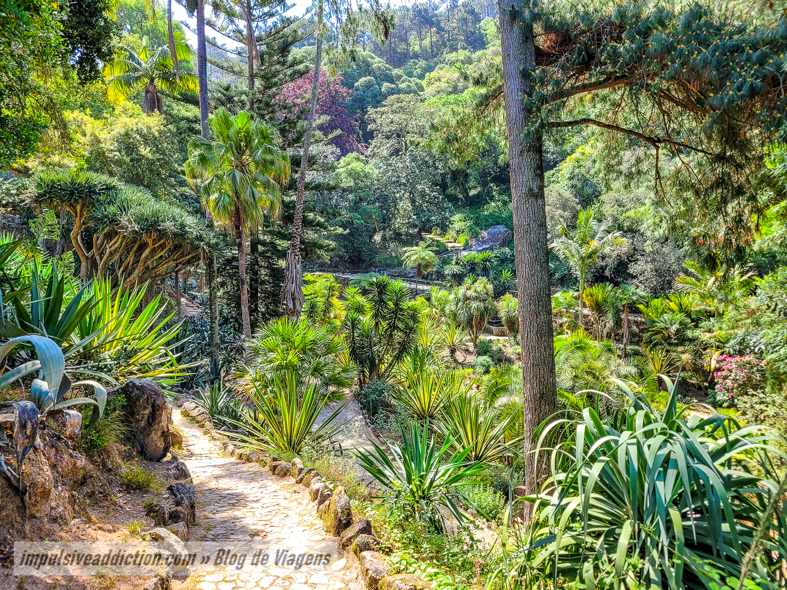 Parque do Palácio de Monserrate | Melhores parques e palácios de Sintra